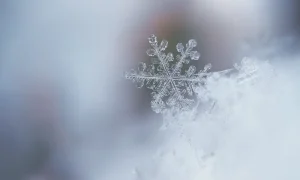 Invierno - Dra. María Benítez